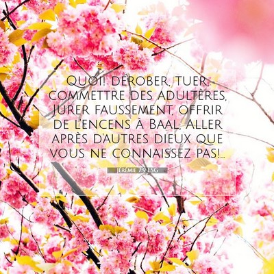 Jérémie 7:9 LSG Image du verset biblique