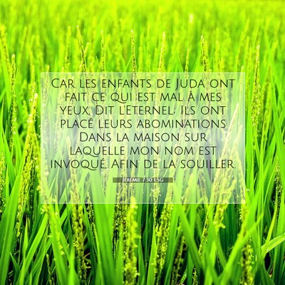 Jérémie 7:30 LSG Image du verset biblique