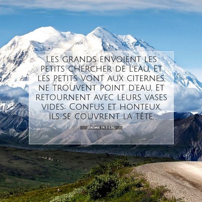 Jérémie 14:3 LSG Image du verset biblique