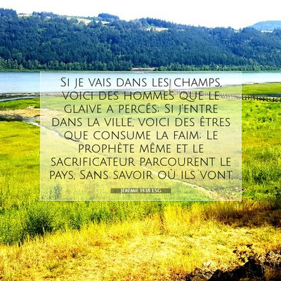 Jérémie 14:18 LSG Image du verset biblique