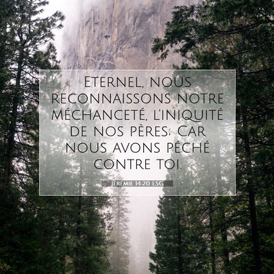 Jérémie 14:20 LSG Image du verset biblique