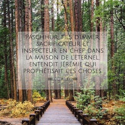 Jérémie 20:1 LSG Image du verset biblique