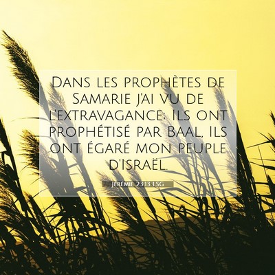 Jérémie 23:13 LSG Image du verset biblique