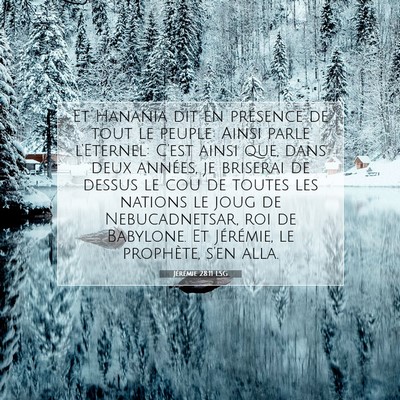 Jérémie 28:11 LSG Image du verset biblique