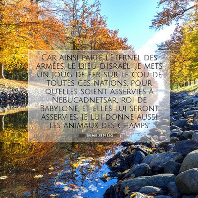 Jérémie 28:14 Verset biblique expliqué