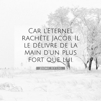 Jérémie 31:11 LSG Image du verset biblique