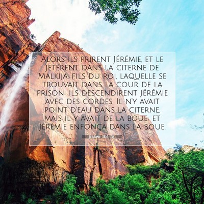 Jérémie 38:6 LSG Image du verset biblique