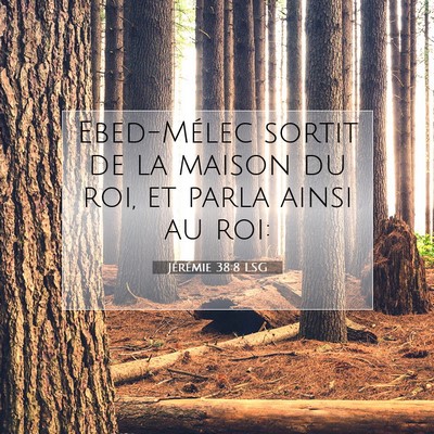 Jérémie 38:8 Verset biblique expliqué