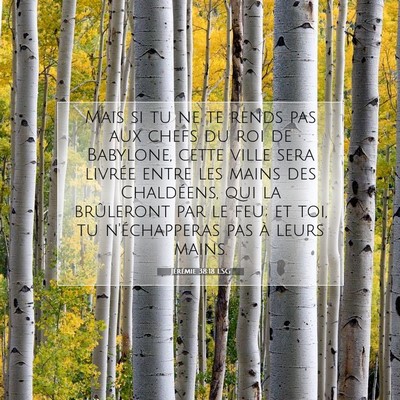 Jérémie 38:18 LSG Image du verset biblique