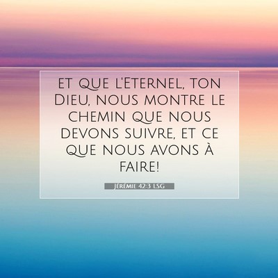 Jérémie 42:3 LSG Image du verset biblique