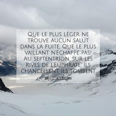 Jérémie 46:6 LSG Image du verset biblique