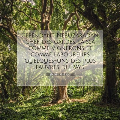 Jérémie 52:16 LSG Image du verset biblique