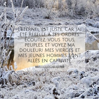 Lamentations 1:18 LSG Image du verset biblique