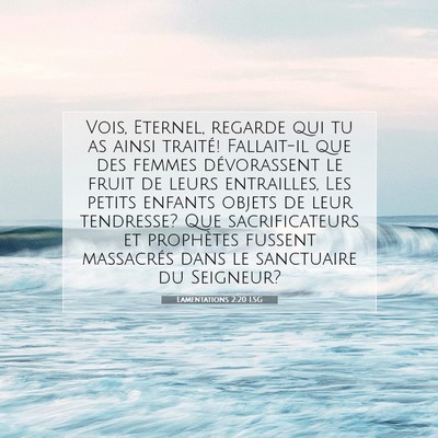 Lamentations 2:20 LSG Image du verset biblique