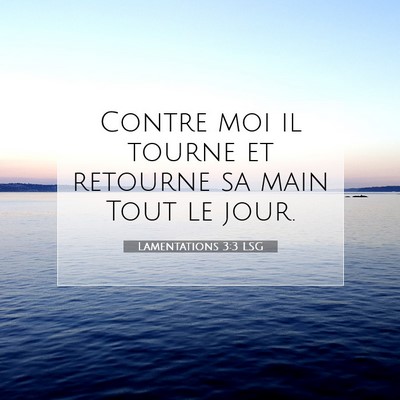 Lamentations 3:3 LSG Image du verset biblique