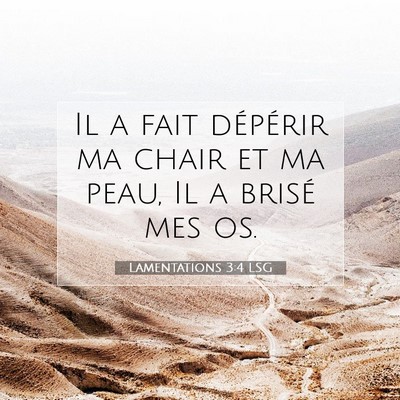 Lamentations 3:4 LSG Image du verset biblique