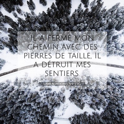 Lamentations 3:9 LSG Image du verset biblique