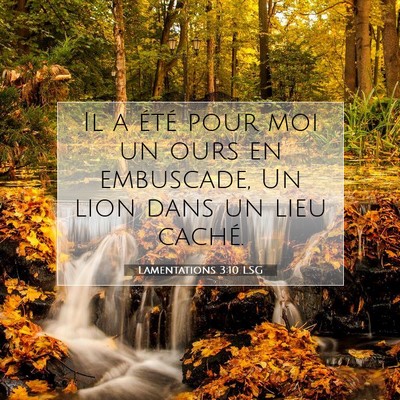 Lamentations 3:10 LSG Image du verset biblique