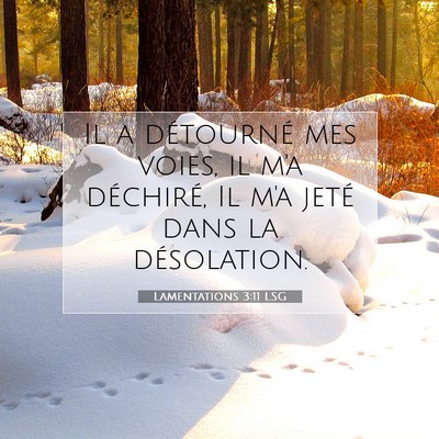 Lamentations 3:11 LSG Image du verset biblique