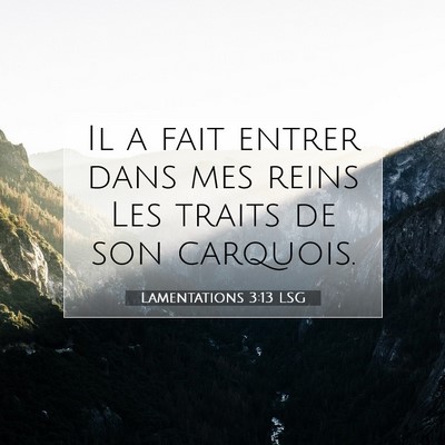 Lamentations 3:13 LSG Image du verset biblique