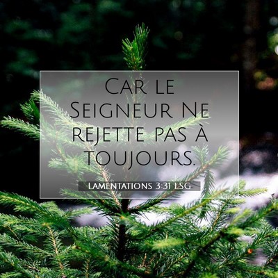 Lamentations 3:31 LSG Image du verset biblique