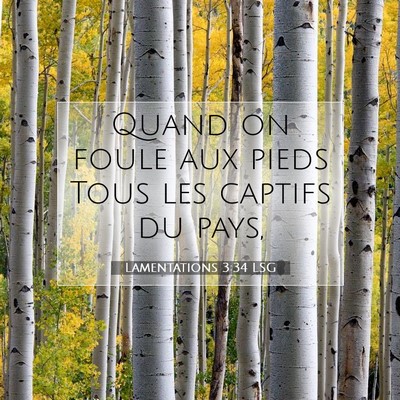 Lamentations 3:34 LSG Image du verset biblique