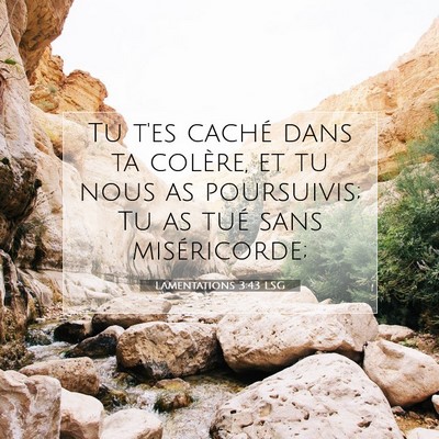 Lamentations 3:43 LSG Image du verset biblique