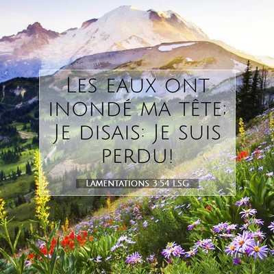 Lamentations 3:54 LSG Image du verset biblique