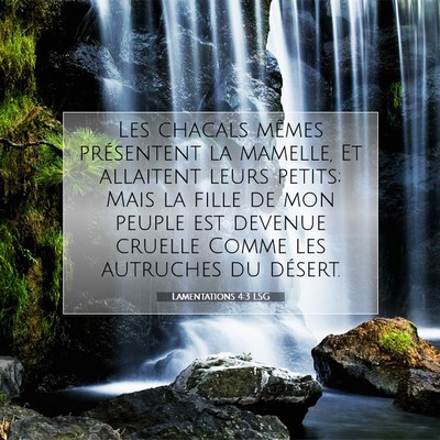 Lamentations 4:3 LSG Image du verset biblique