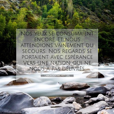 Lamentations 4:17 LSG Image du verset biblique