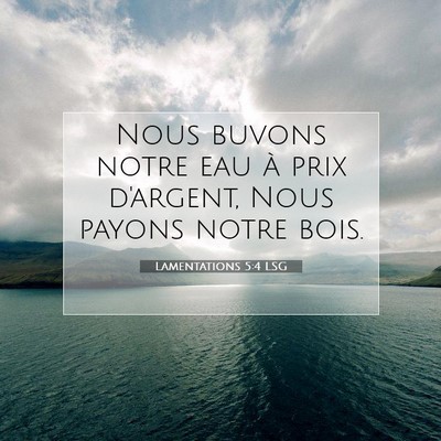 Lamentations 5:4 LSG Image du verset biblique