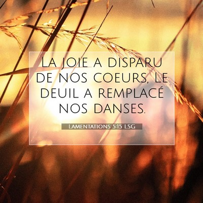 Lamentations 5:15 LSG Image du verset biblique