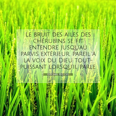 Ézéchiel 10:5 LSG Image du verset biblique