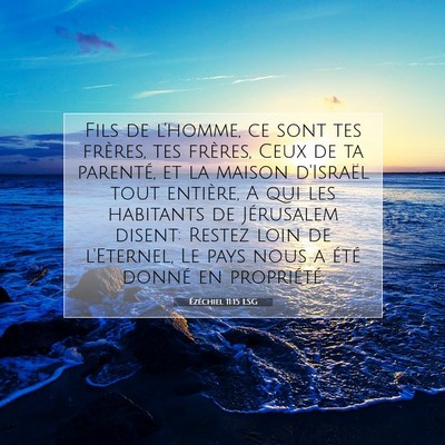 Ézéchiel 11:15 LSG Image du verset biblique