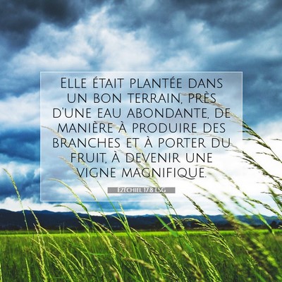 Ézéchiel 17:8 LSG Image du verset biblique