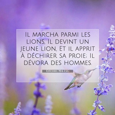 Ézéchiel 19:6 LSG Image du verset biblique