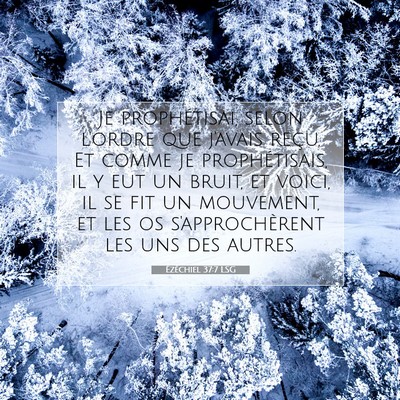 Ézéchiel 37:7 LSG Image du verset biblique