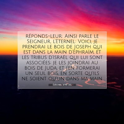 Ézéchiel 37:19 LSG Image du verset biblique