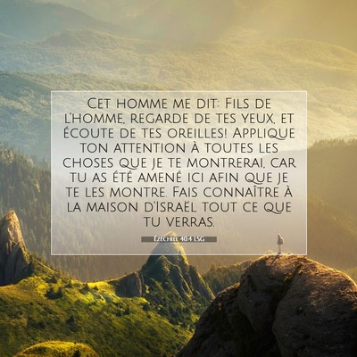 Ézéchiel 40:4 LSG Image du verset biblique