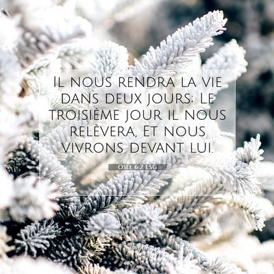 Osée 6:2 LSG Image du verset biblique