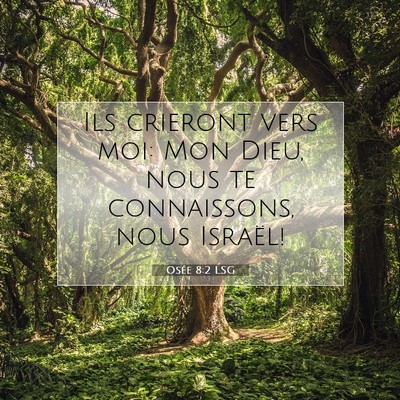 Osée 8:2 LSG Image du verset biblique