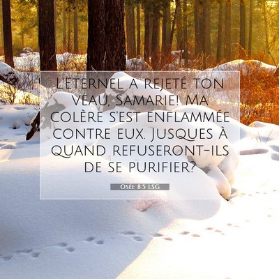 Osée 8:5 LSG Image du verset biblique