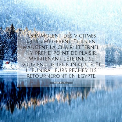 Osée 8:13 LSG Image du verset biblique