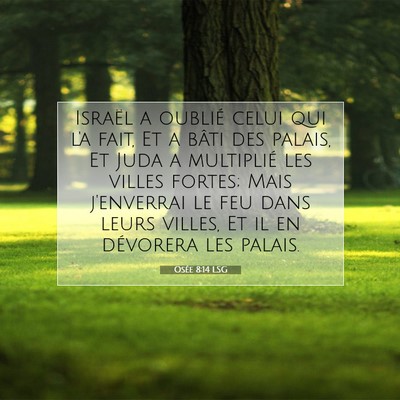 Osée 8:14 LSG Image du verset biblique