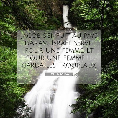 Osée 12:12 LSG Image du verset biblique