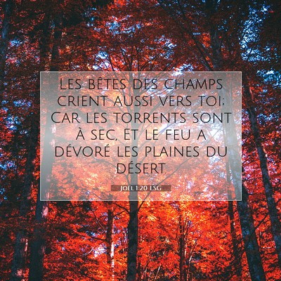 Joël 1:20 Verset biblique expliqué