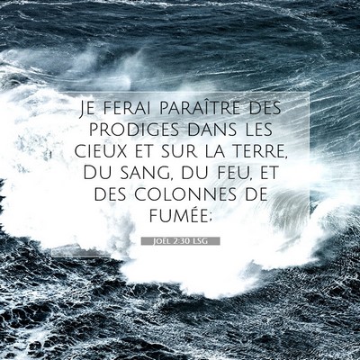 Joël 2:30 LSG Image du verset biblique