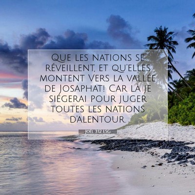 Joël 3:12 LSG Image du verset biblique