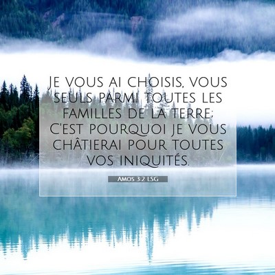 Amos 3:2 LSG Image du verset biblique