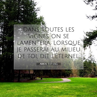 Amos 5:17 LSG Image du verset biblique